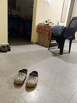 Show webcam de vichuhot