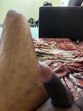 Pertunjukan Kamera Web vichuhot