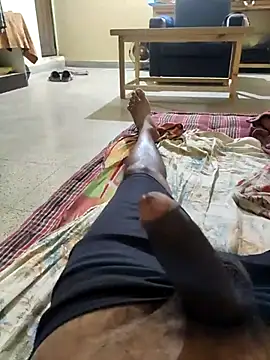 Show webcam de vichuhot