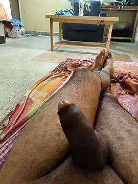 Show Webcam de vichuhot