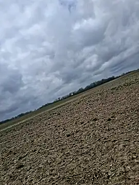 Show Webcam de JaimeRhett