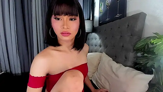 delightfulasianhugecock 웹캠 쇼