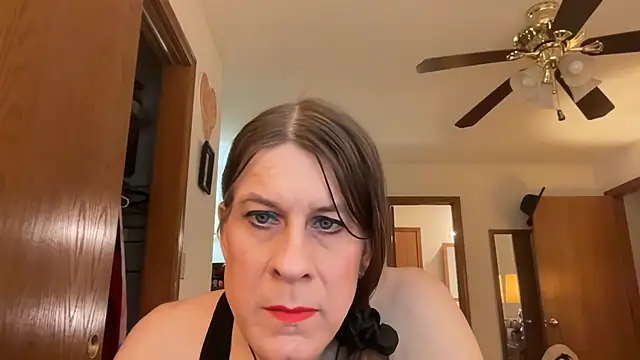 AliceSpectrum 网络视讯表演