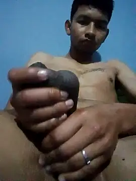 Show webcam de averth