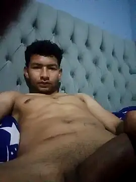 averth Pertunjukan Webcam