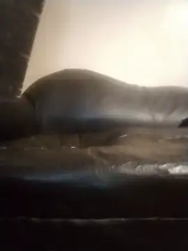 SmockingNachos Webcam-Show