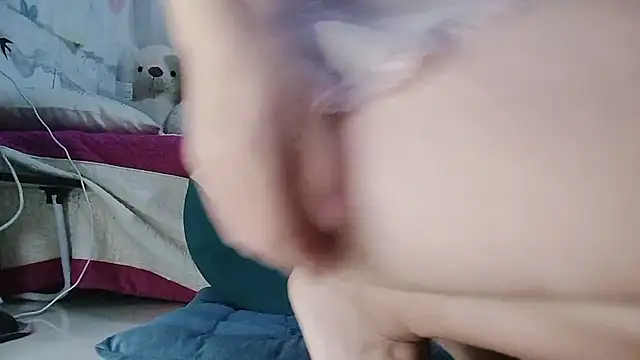 Bun_Bee 网络视讯表演