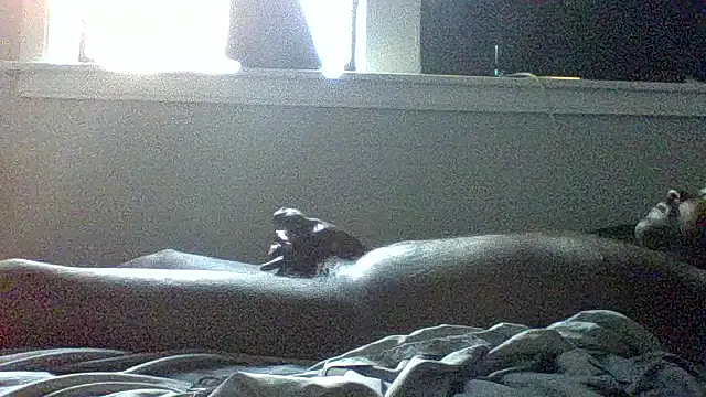 JezOne555's Webcam Show