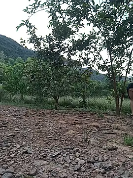 SexyQueen99 webkamerás műsora