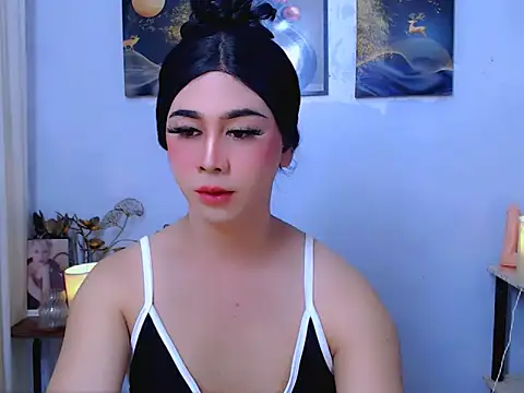 Bini_Redn Webbikameraesitys