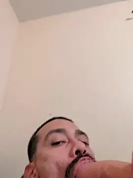 Cnutt310 网络视讯表演