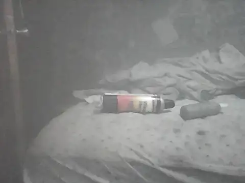 Twoslipperywhenwett Webcam-Show