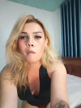 celyTSversan Webbikameraesitys