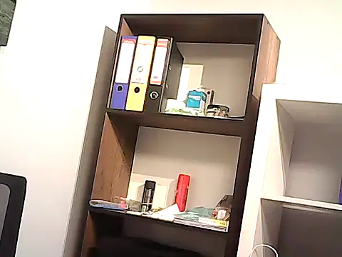 mastercharisma35n Webbikameraesitys