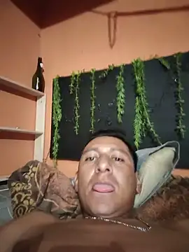 Albertmarc2n Webbikameraesitys