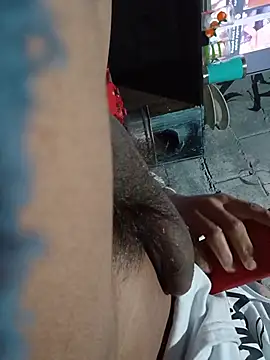 Show de webcam de radx0