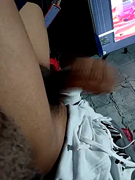 radx0 – webcam-show
