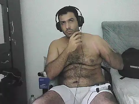 IronSideBear Show Webcam