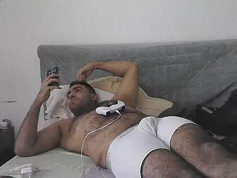 عرض كام IronSideBear