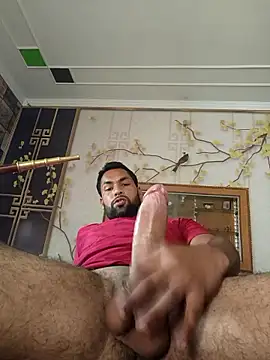 7-inch-bull's Webcam Show
