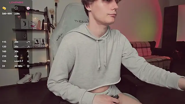 Da_scinn Webbikameraesitys