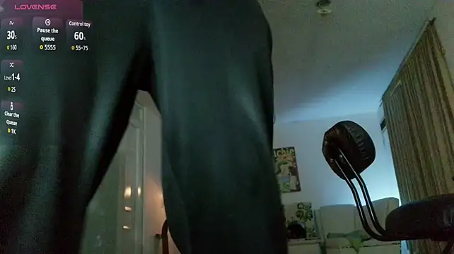 Thomasjons_ Show Webcam