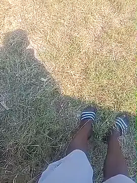 Pertunjukan Kamera Web XTRIAL_67