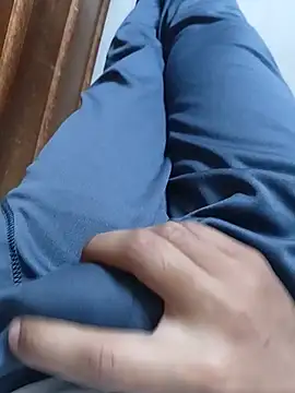 Manoelgozn Webbikameraesitys