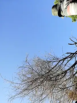 โชว์เว็บแคมของ Mounstro3