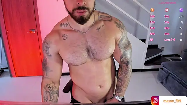 Mason_fit09 Show in webcam