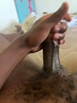 Jackianan Webbikameraesitys