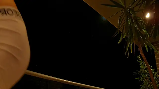 VicenteFerrer Webcam Show