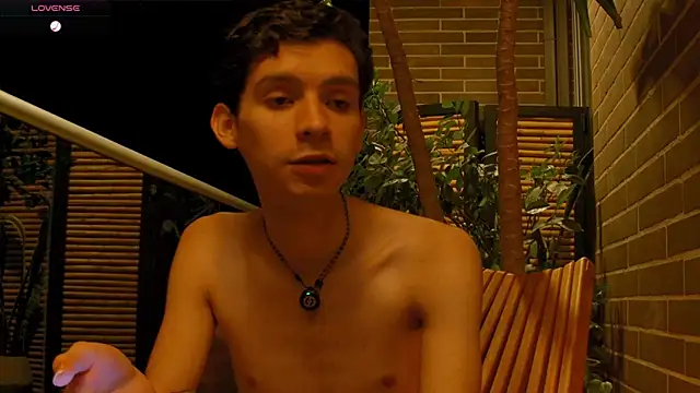 VicenteFerrer Show in webcam