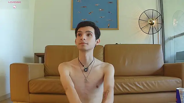 VicenteFerrer Show Webcam