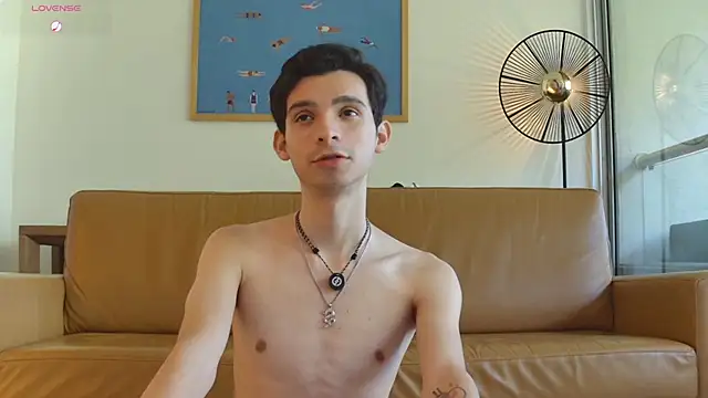 VicenteFerrer Webcam show