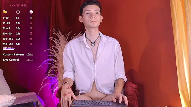 VicenteFerrer Show Webcam