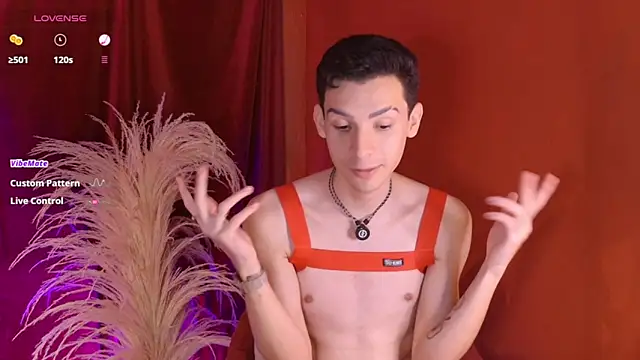 VicenteFerrer webcam show