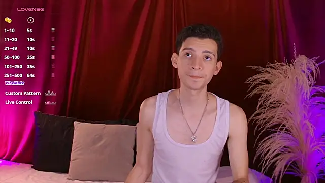 VicenteFerrer Webcam-Show