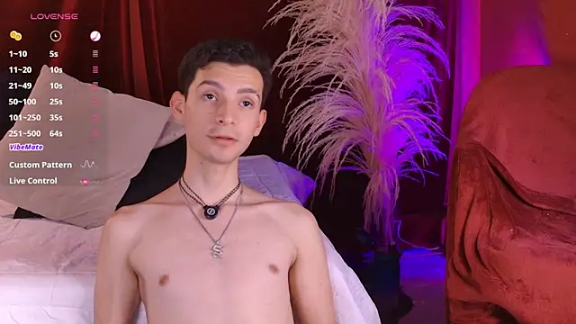 VicenteFerrer Pertunjukan Webcam