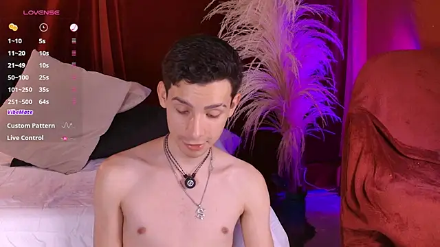 VicenteFerrer Show in webcam