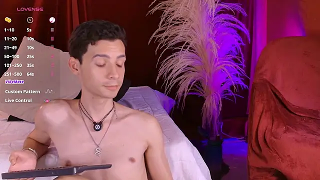 VicenteFerrer Show Webcam