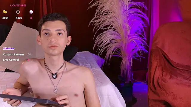 Вебкам-шоу VicenteFerrer