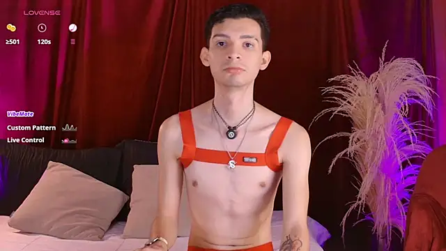 VicenteFerrern Webbikameraesitys
