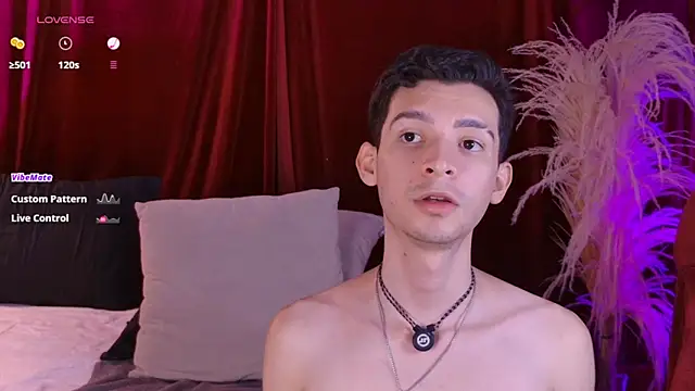 VicenteFerrer Show Webcam