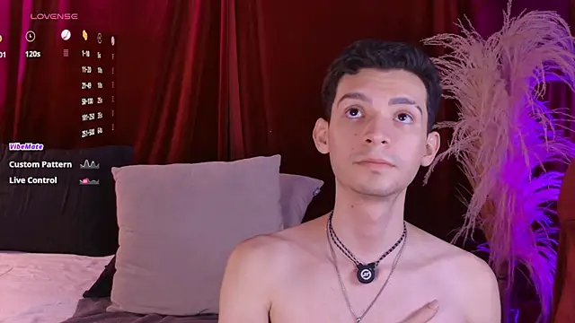 VicenteFerrer 网络视讯表演