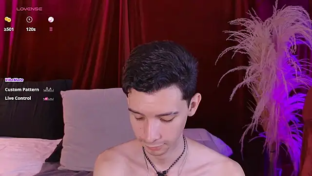VicenteFerrer Webcamshow