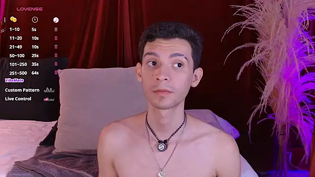 Show modela VicenteFerrer na web-kameri