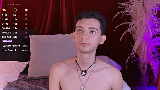 VicenteFerrer Show Webcam