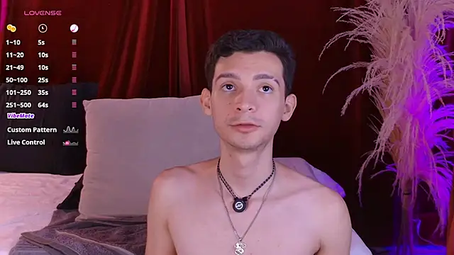 Вебкам-шоу VicenteFerrer