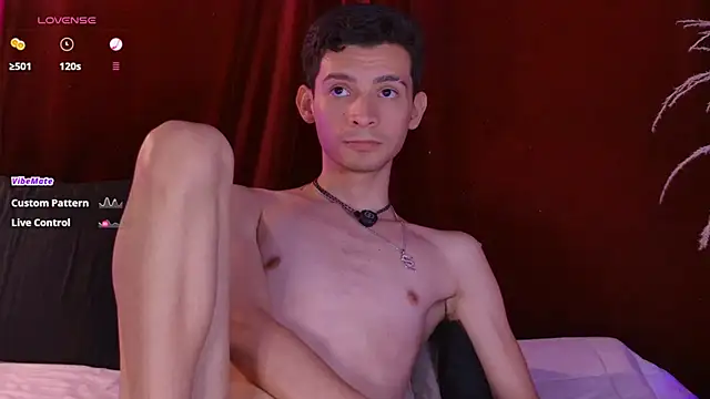 VicenteFerrer Webcam show